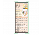 WhiteCoat Clipboard® Trifold - Mint Cardiology Edition