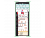 WhiteCoat Clipboard® Trifold - Mint Cardiology Edition