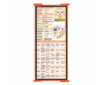 WhiteCoat Clipboard® Trifold - Orange Cardiology Edition