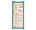 WhiteCoat Clipboard® Trifold - Teal Cardiology Edition