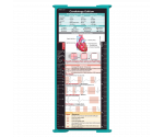 WhiteCoat Clipboard® Trifold - Teal Cardiology Edition