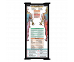 WhiteCoat Clipboard® Trifold - Blackout Occupational Therapy Edition