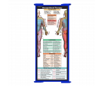 WhiteCoat Clipboard® Trifold - Blue Occupational Therapy Edition