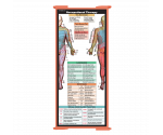 WhiteCoat Clipboard® Trifold - Coral Occupational Therapy Edition