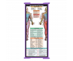 WhiteCoat Clipboard® Trifold - Lilac Occupational Therapy Edition
