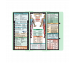 WhiteCoat Clipboard® Trifold - Mint Occupational Therapy Edition