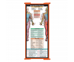 WhiteCoat Clipboard® Trifold - Orange Occupational Therapy Edition