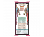 WhiteCoat Clipboard® Trifold - Pink Occupational Therapy Edition