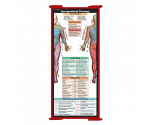 WhiteCoat Clipboard® Trifold - Red Occupational Therapy Edition