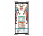 WhiteCoat Clipboard® Trifold - Silver Occupational Therapy Edition