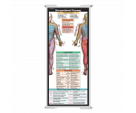 WhiteCoat Clipboard® Trifold - White Occupational Therapy Edition