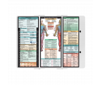 WhiteCoat Clipboard® Trifold - White Occupational Therapy Edition