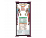 WhiteCoat Clipboard® Trifold - Wine Occupational Therapy Edition