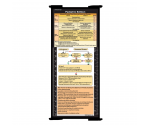 WhiteCoat Clipboard® Trifold - Black Pediatric Infant Edition