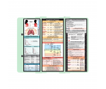 WhiteCoat Clipboard® Trifold - Mint Respiratory Therapy Edition