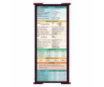 WhiteCoat Clipboard® Trifold - Wine Medical Edition