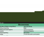 WhiteCoat Clipboard® Vertical - Army Green Occupational Therapy Edition