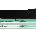 WhiteCoat Clipboard® Vertical - Black Occupational Therapy Edition