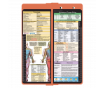 WhiteCoat Clipboard® Vertical - Coral Occupational Therapy Edition