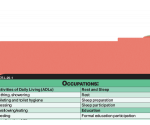 WhiteCoat Clipboard® Vertical - Coral Occupational Therapy Edition