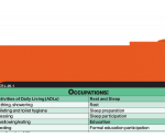 WhiteCoat Clipboard® Vertical - Orange Occupational Therapy Edition