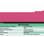 WhiteCoat Clipboard® Vertical - Pink Occupational Therapy Edition