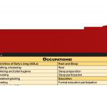 WhiteCoat Clipboard® Vertical - Red Occupational Therapy Edition