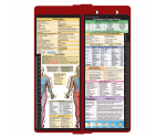 WhiteCoat Clipboard® Vertical - Red Occupational Therapy Edition