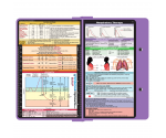 WhiteCoat Clipboard® Concealed - Lilac Respiratory Therapy Edition