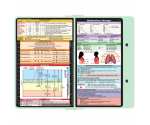 WhiteCoat Clipboard® Concealed - Mint Respiratory Therapy Edition