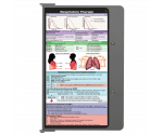 WhiteCoat Clipboard® Concealed - Silver Respiratory Therapy Edition