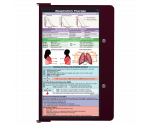 WhiteCoat Clipboard® Concealed - Wine Respiratory Therapy Edition