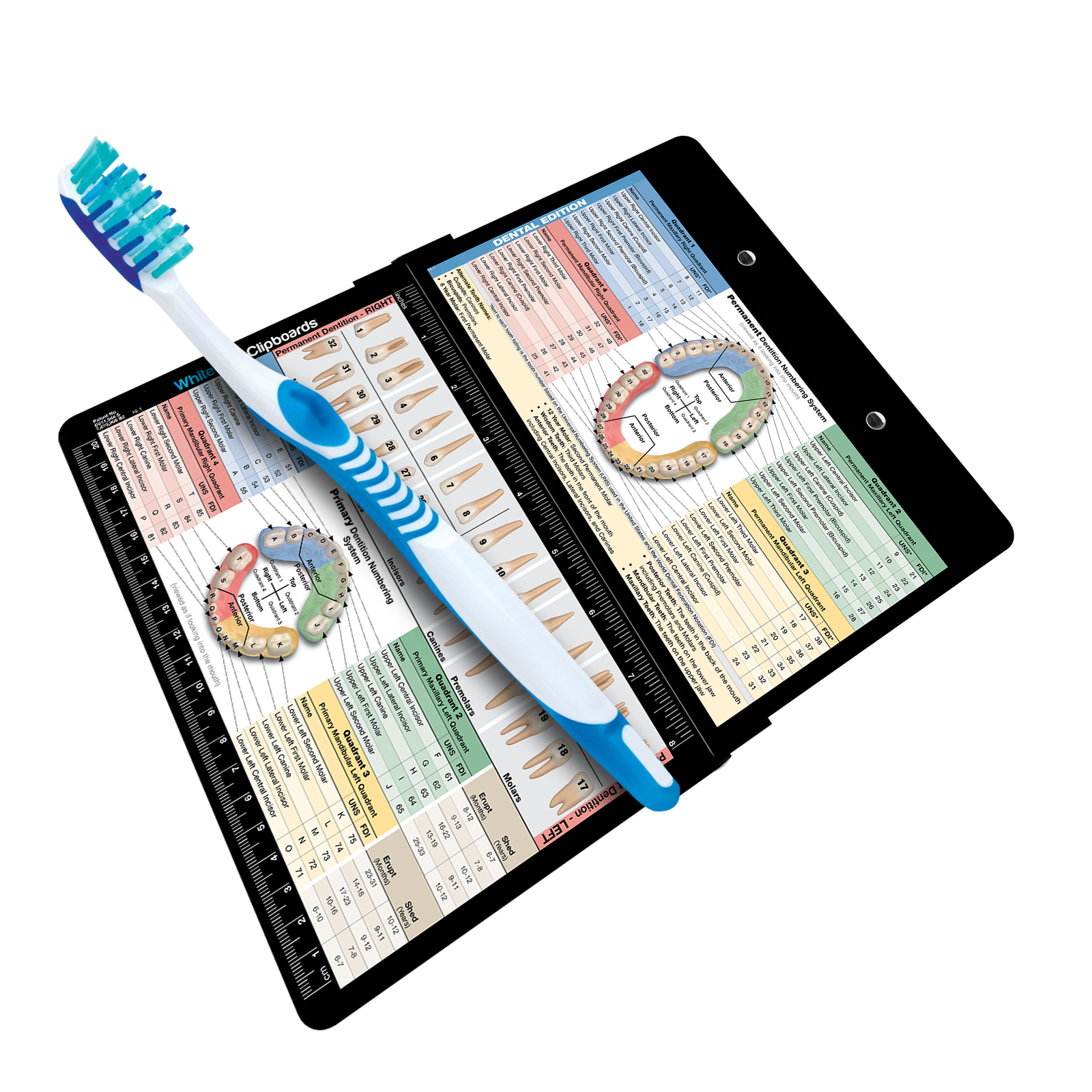 Dental Clipboards